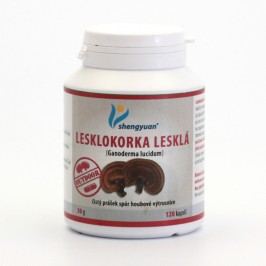 TeaTao Lesklokorka lesklá, Ganoderma lucidum, kapsle 120 ks, 30 g