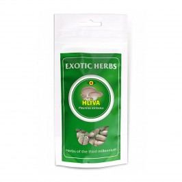 Exotic Herbs Hlíva ústřičná, kapsle 100 ks