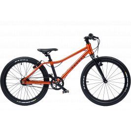 Rascal Bikes 20