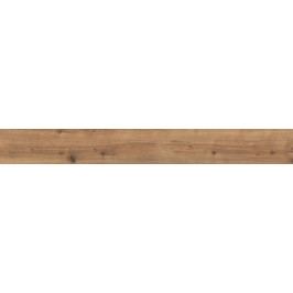 Arké miele 20x120 cm dlažba rekt.